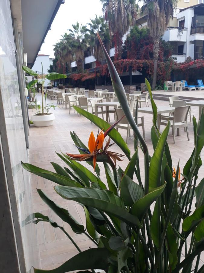 Club Jovia Kemer Hotel Antalya Exterior foto