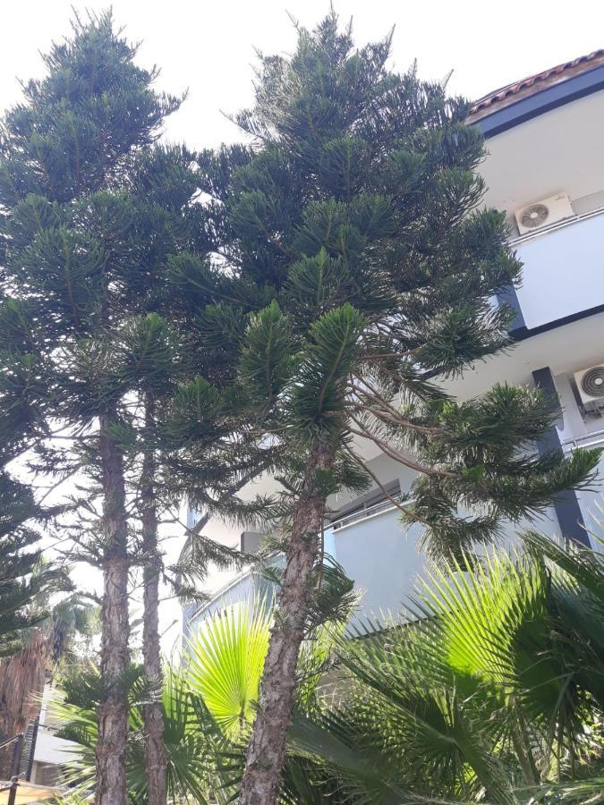 Club Jovia Kemer Hotel Antalya Exterior foto